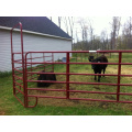 Corral Gates Economy Horse Panels Kettenstecker